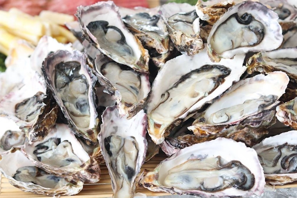 Knysna Oyster Cruise.webp