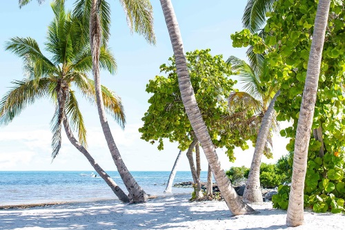 parrot key hotel and villas strand.jpg