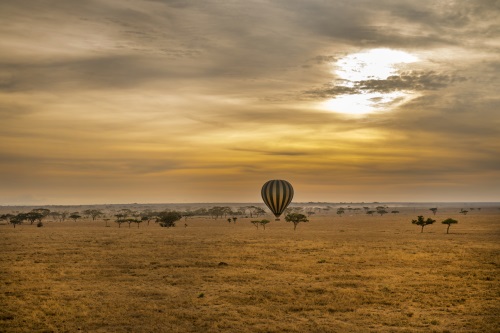 serengeti 001.jpg