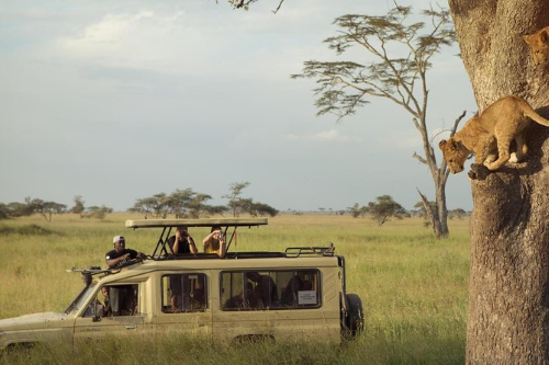 safari voertuig tanzania jenman 003.png
