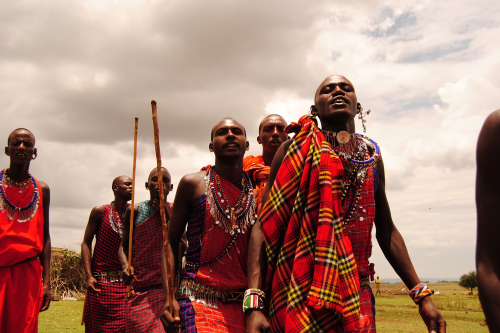 masai mara 003.png