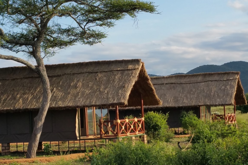 tarangire simba lodge tent van buiten.png