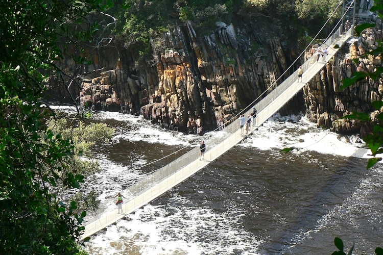 tsitsikamma suspension bridge 012.webp