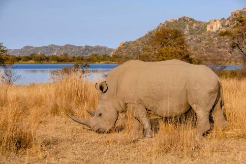 Matobo 