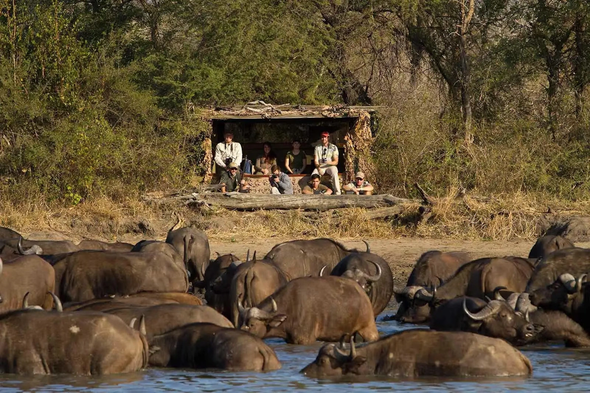 Africa On Foot safari 001.webp