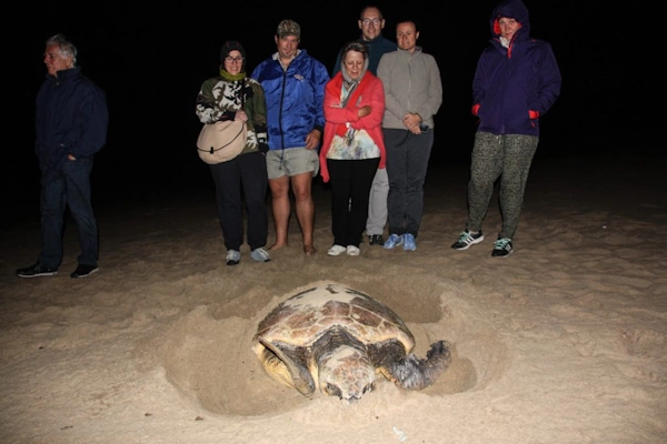 Schildpadden Safari bij Nacht.webp