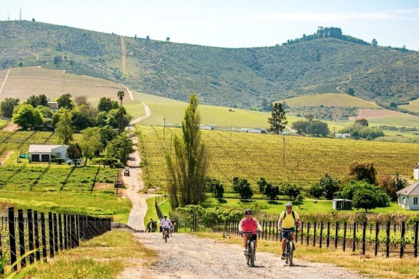 E-biketour door de wijngaarden van Stellenbosch.webp