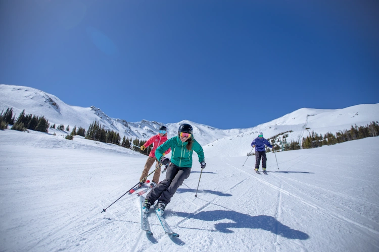 Marmot Basin 003 klein formaat.webp