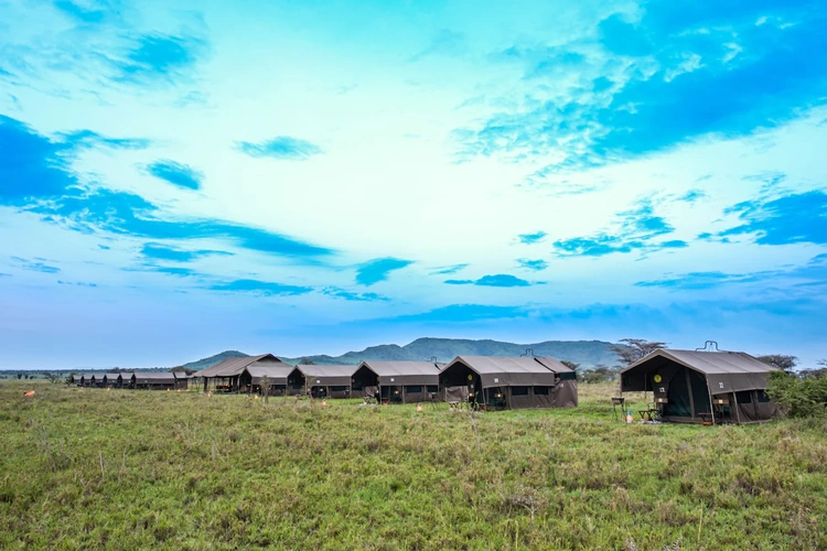 Kananga Special Tented Camp tent buiten.webp