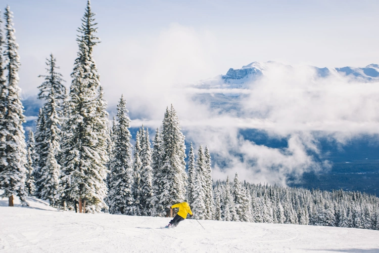 MarmotBasin 002.webp