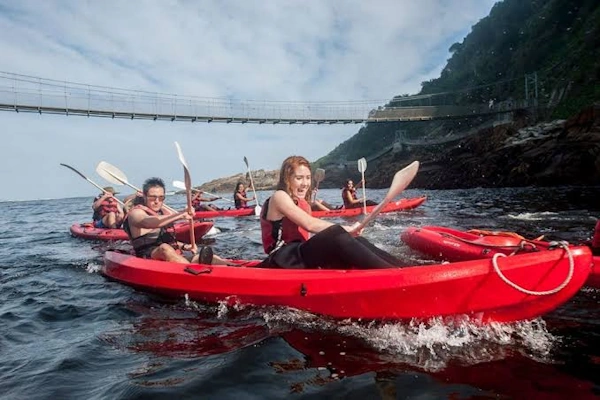 Kayak Lilo Adventure.webp