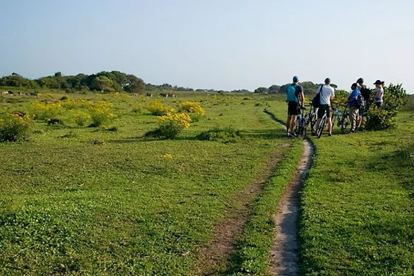 Fietstocht door St. Lucia.webp
