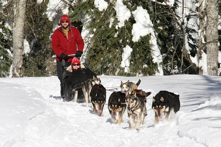 Jasper Dogsledding 013.webp