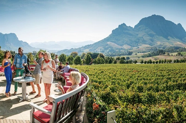 Full Day Wine Tour incl Stellenbosch Tasting 001.webp