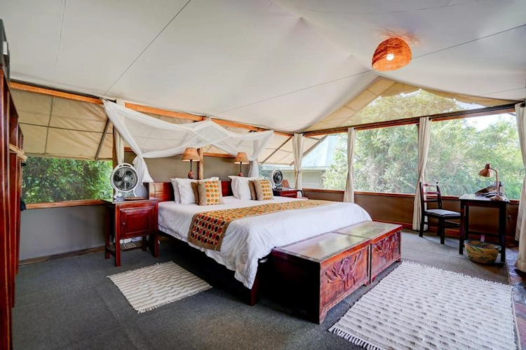 Ishasha Wilderness Camp 002.webp