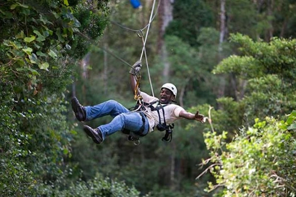 Canopy Tour Tsitsikamma.webp