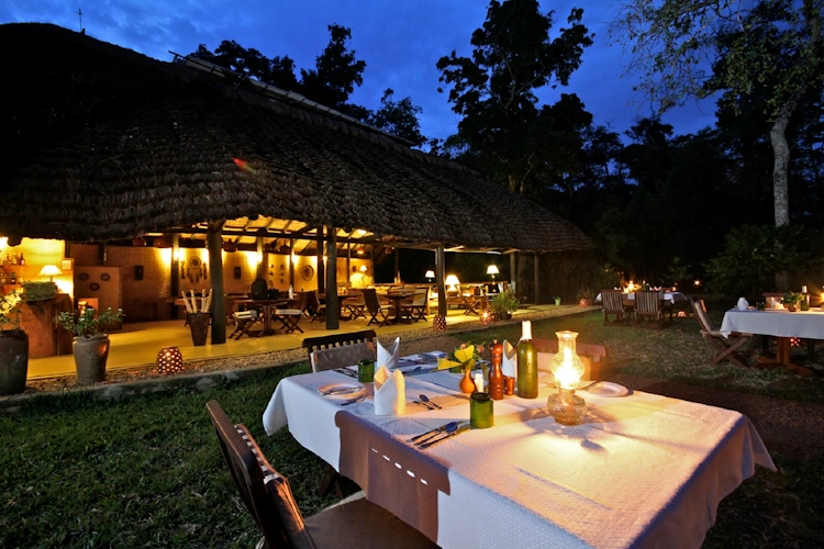Ishasha Wilderness Camp 001.webp