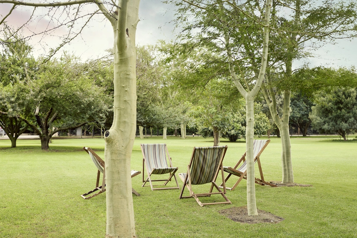Elephant House tuin.webp