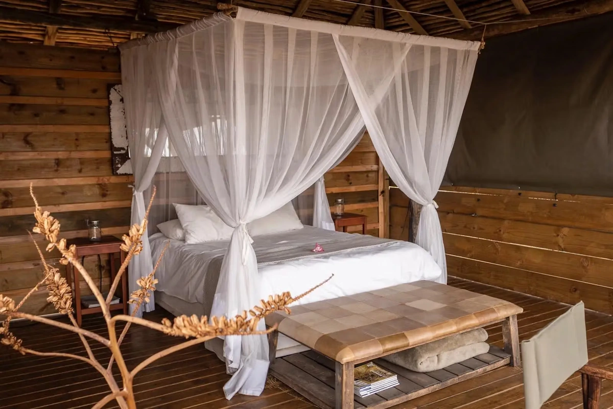Africa On Foot chalet binnen 001.webp
